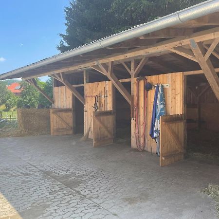 Apartamento Luises Ferienglück Vernawahlshausen Exterior foto