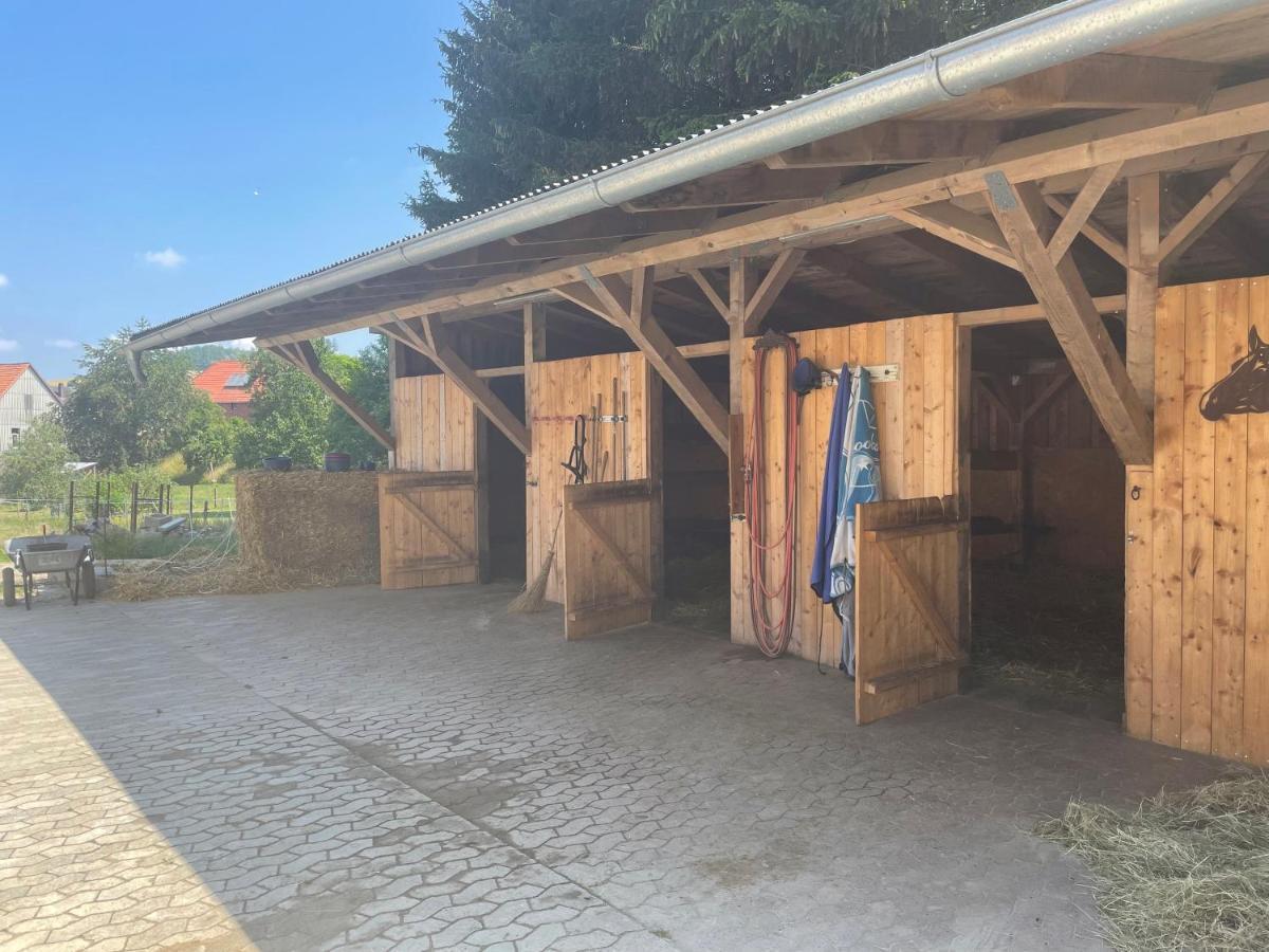 Apartamento Luises Ferienglück Vernawahlshausen Exterior foto
