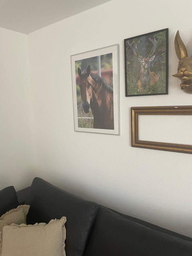 Apartamento Luises Ferienglück Vernawahlshausen Exterior foto